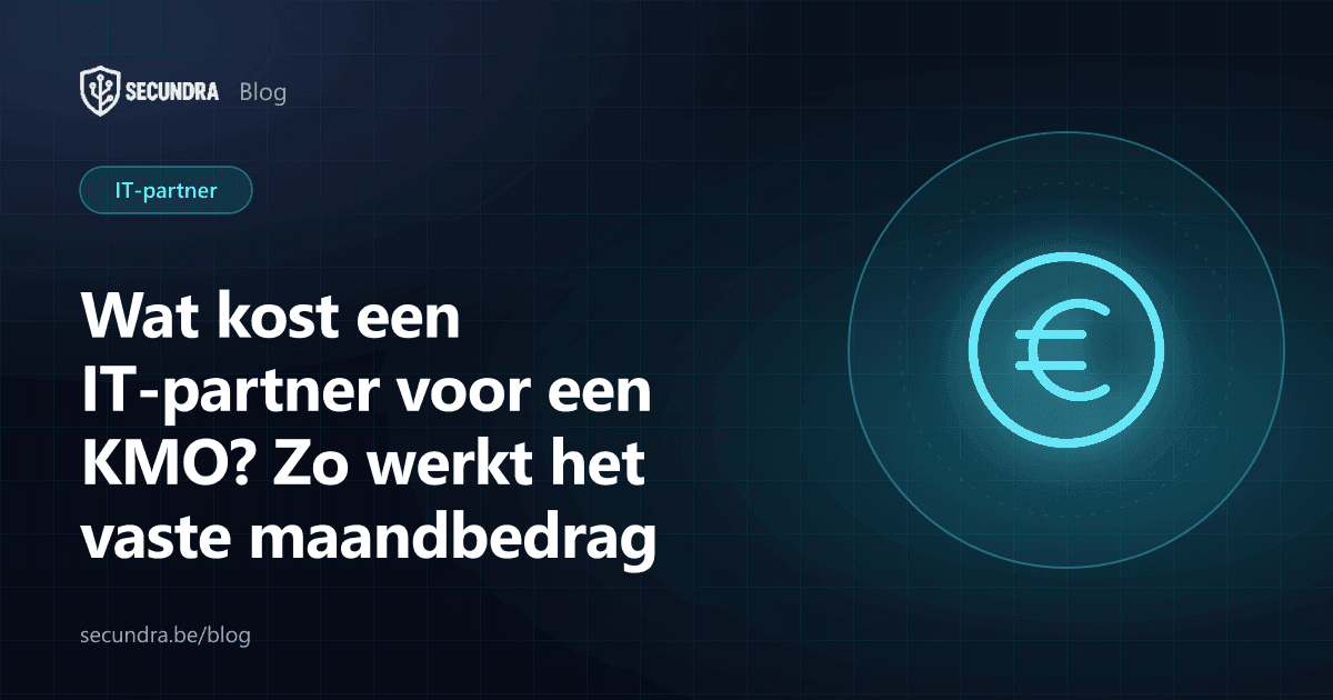 Illustratie van een euromunt, thema kostprijs IT-partner