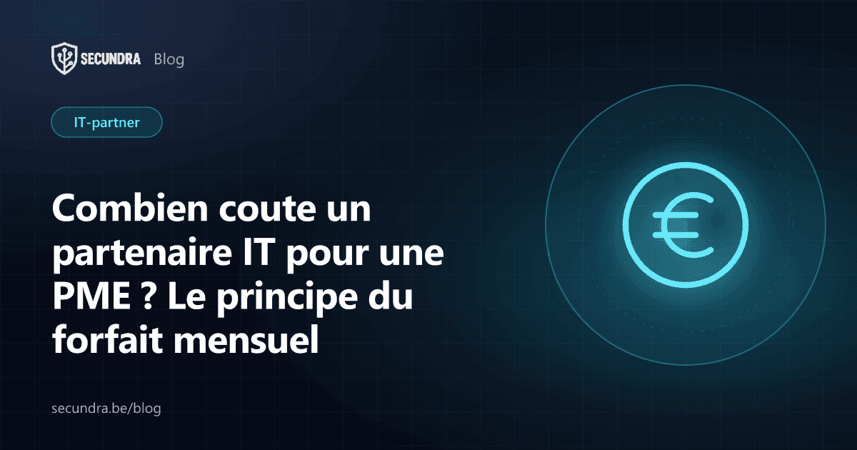 Illustration d'une pièce en euro, thème coût d'un partenaire IT